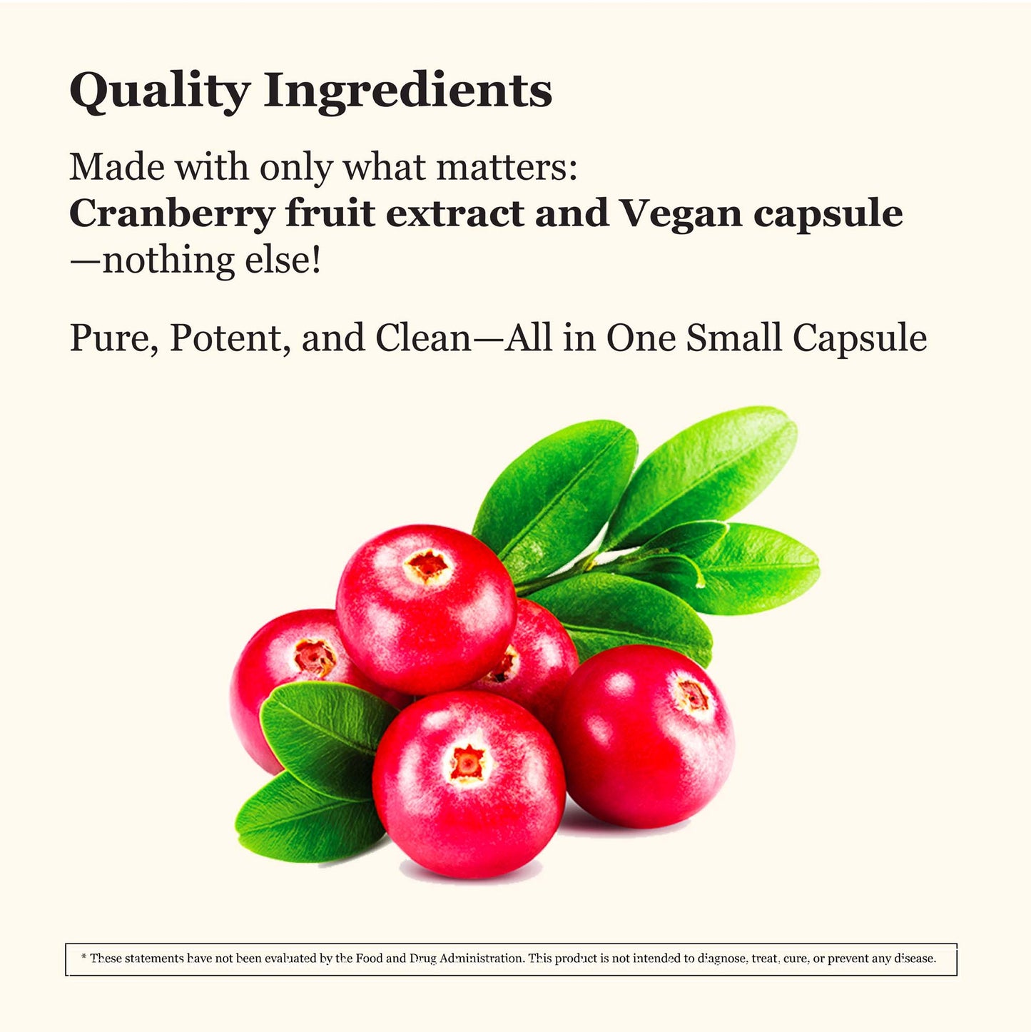 Cranberry (Coming Soon)