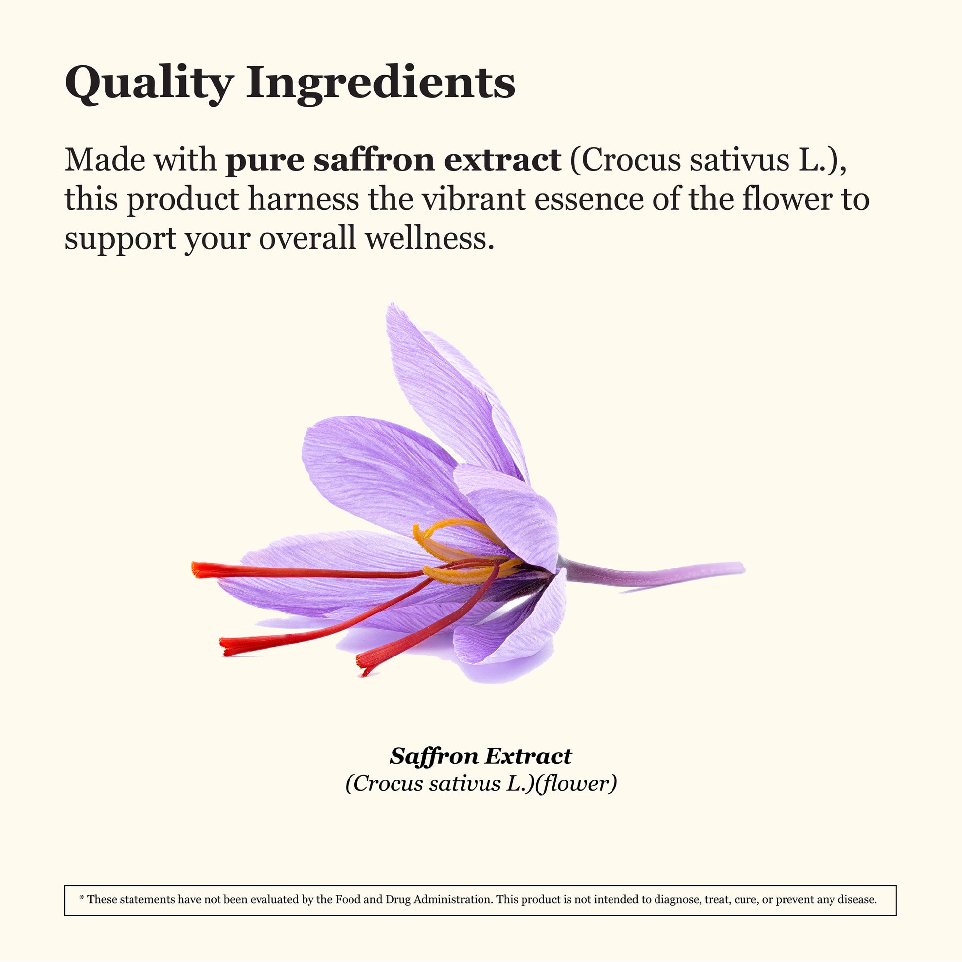 image of crocus sativus L, flower, pure saffron extract is made from flower of crocus sativus L.